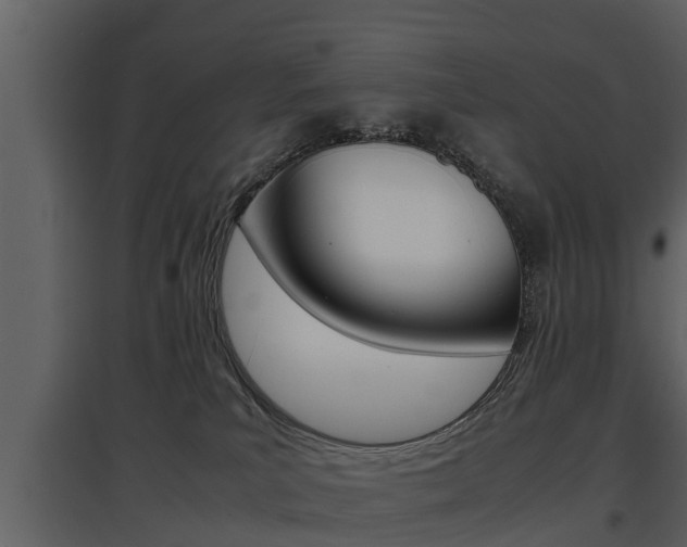 X0000097840039200803140844