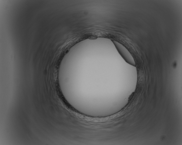 X0000097840043200803140844