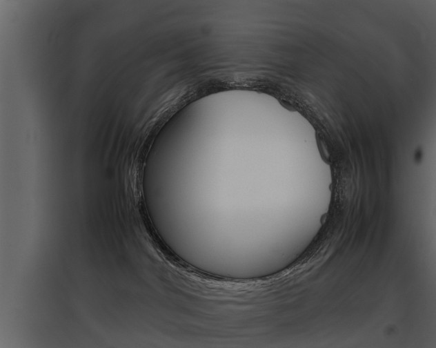 X0000097840044200803140844