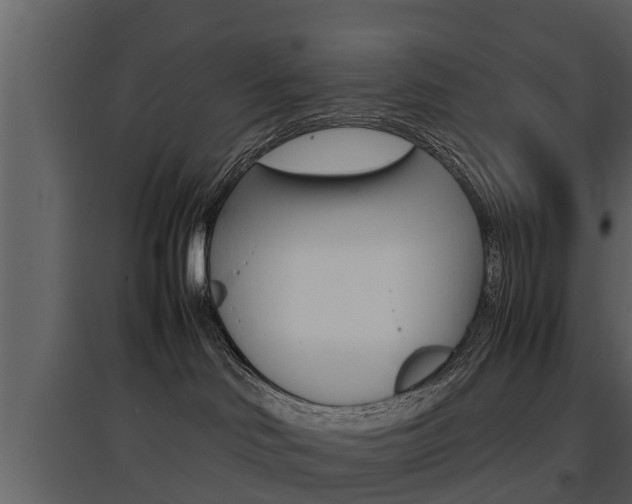 X0000097840046200803140844