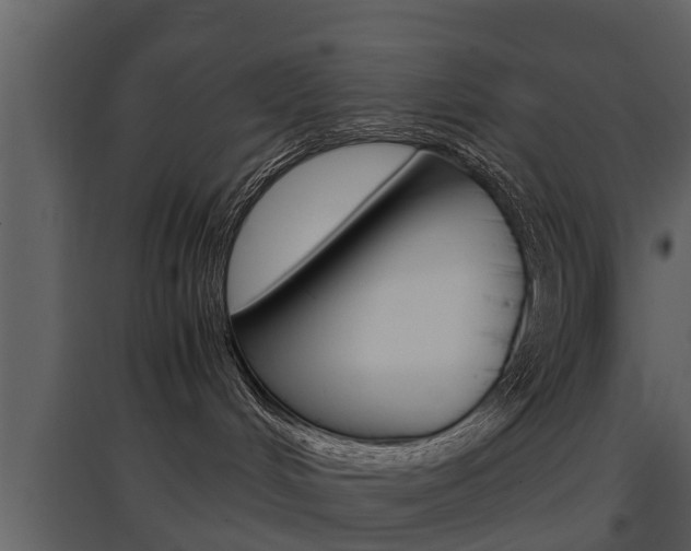 X0000097840048200803140844