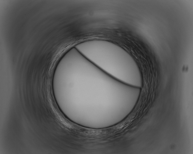 X0000097840049200803140843