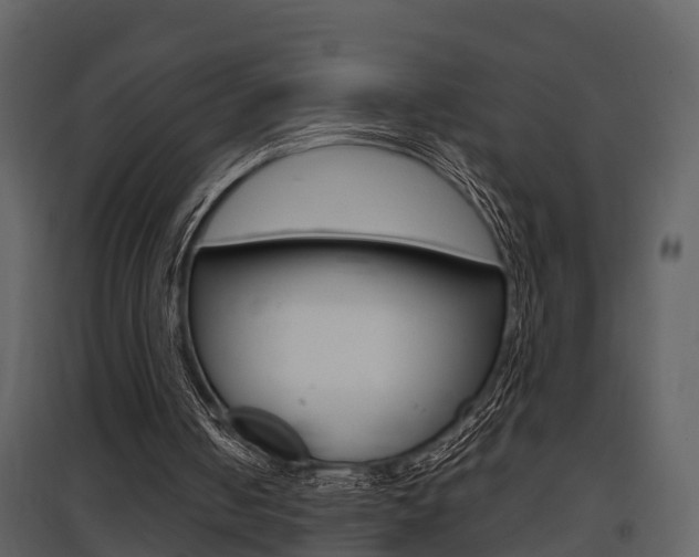 X0000097840050200803140843