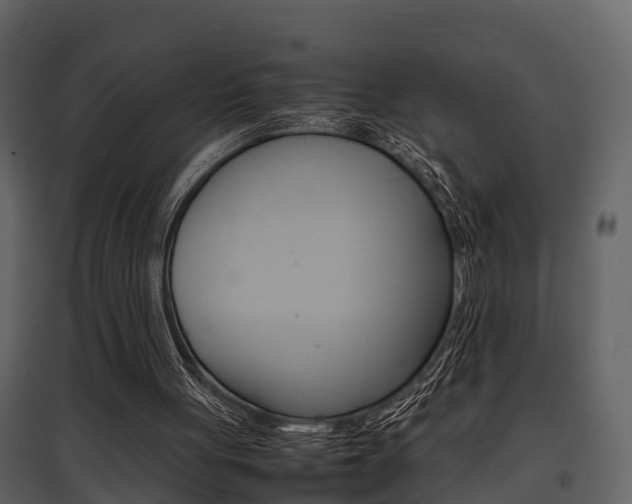 X0000097840051200803140843