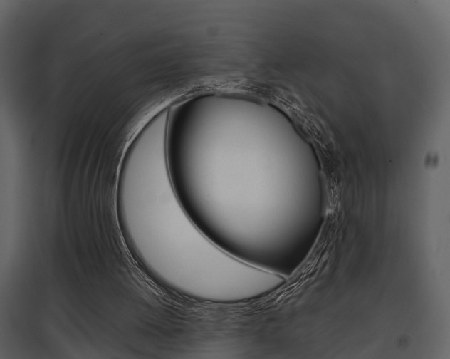 X0000097840052200803140843