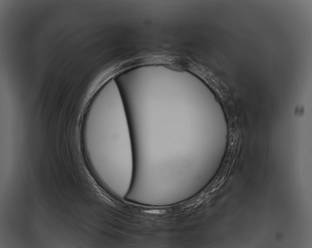 X0000097840053200803140843