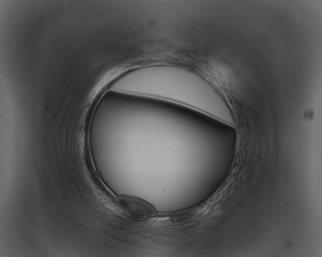 X0000097840054200803140843