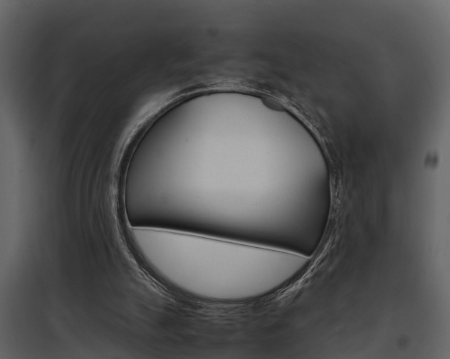 X0000097840055200803140843