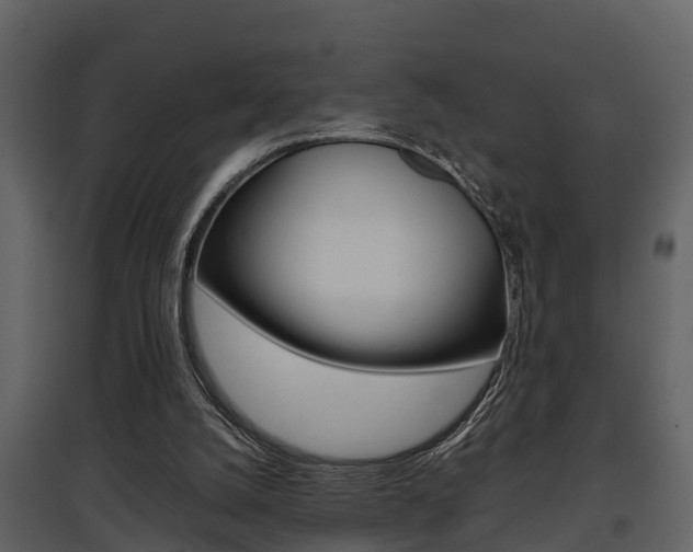 X0000097840056200803140843
