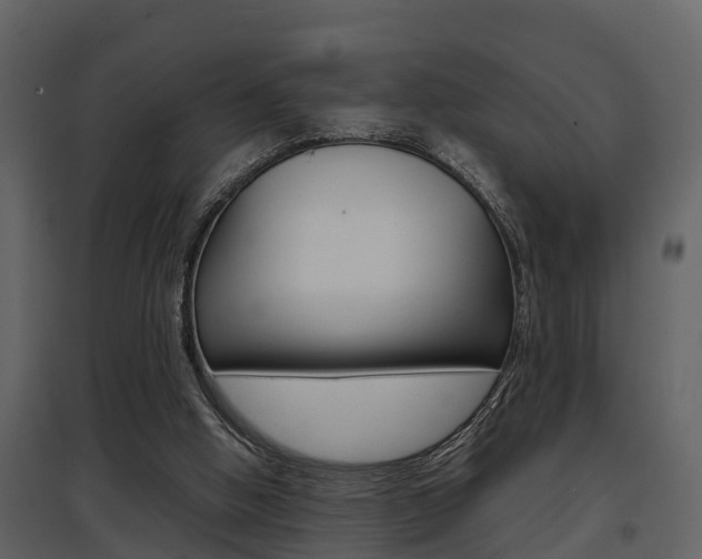 X0000097840058200803140843