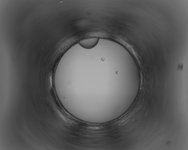 X0000097840061200803140843