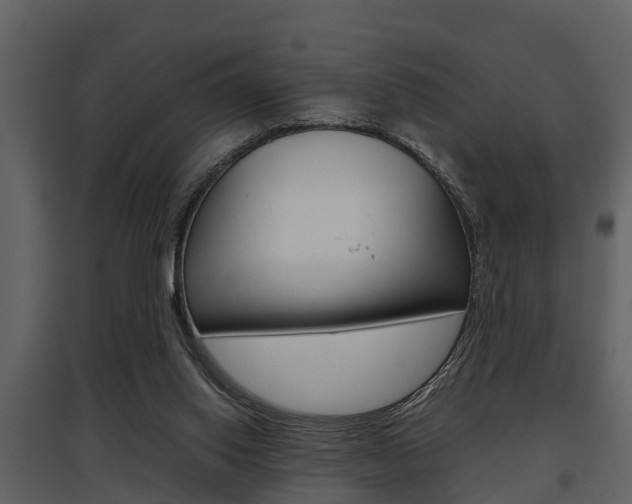 X0000097840062200803140843