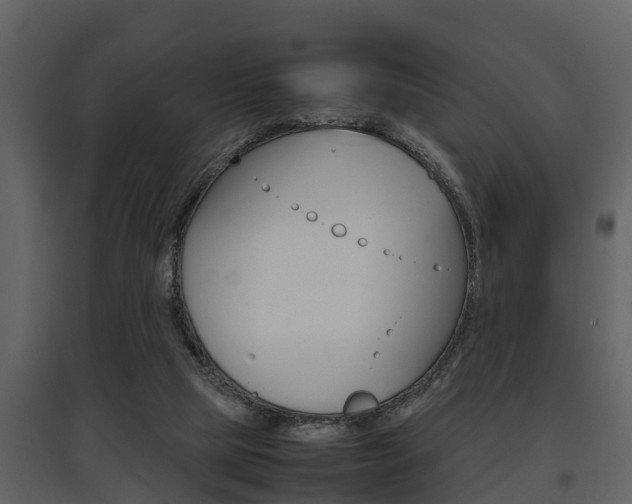 X0000097840065200803140843