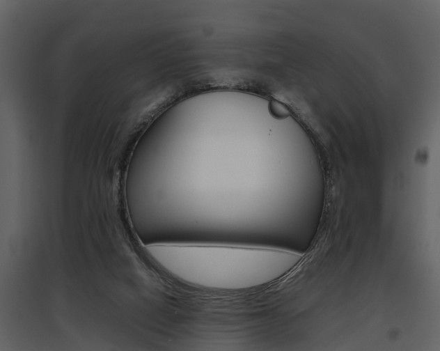 X0000097840066200803140844