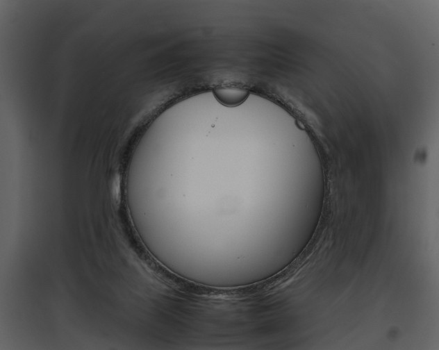 X0000097840067200803140844