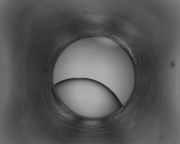 X0000097840069200803140844