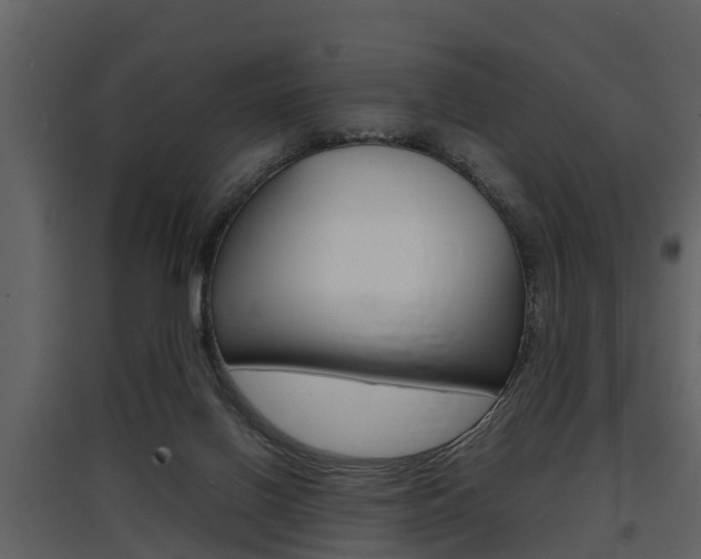 X0000097840070200803140844
