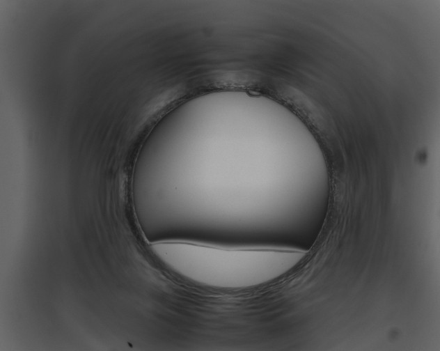 X0000097840071200803140844