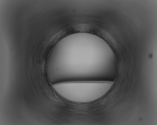 X0000097840073200803140844