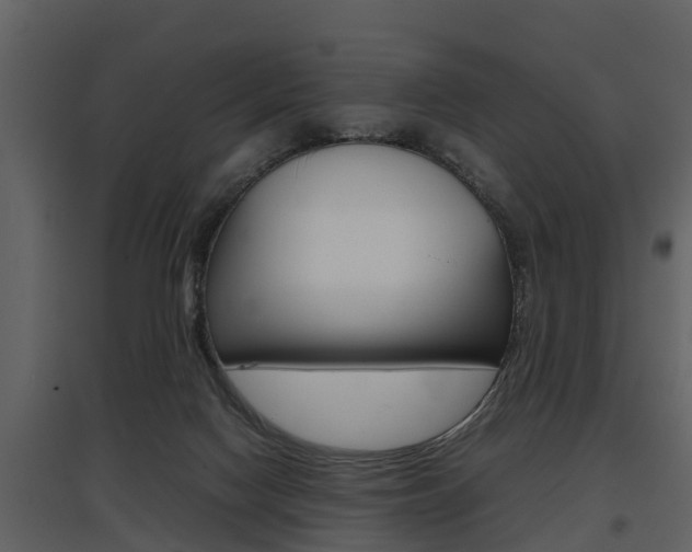 X0000097840074200803140844