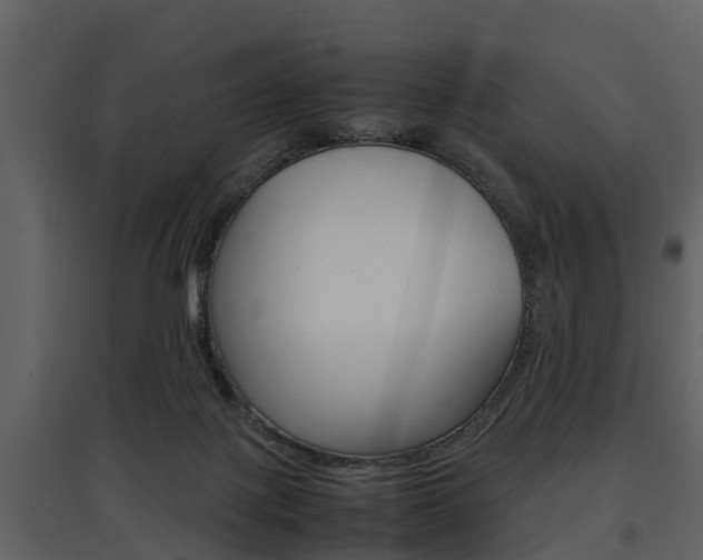 X0000097840075200803140844