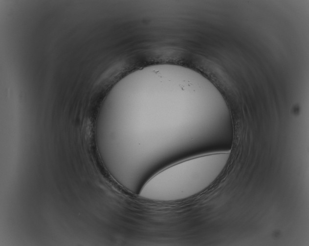 X0000097840077200803140844