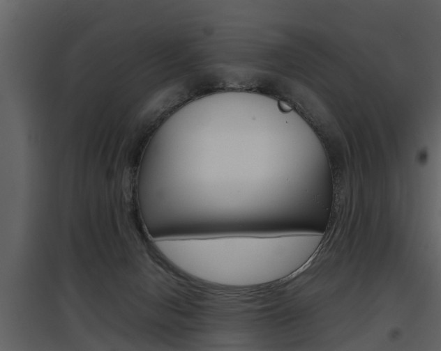 X0000097840078200803140844