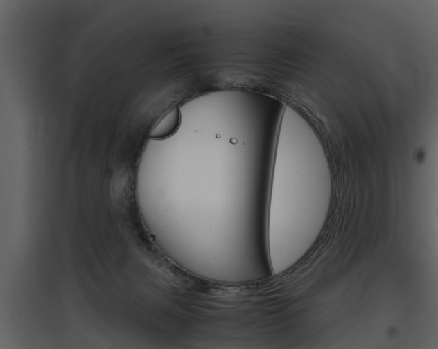 X0000097840079200803140844