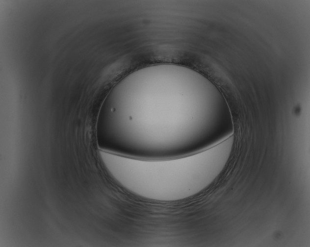 X0000097840080200803140844
