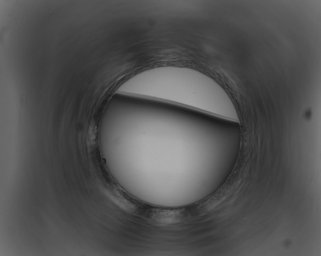 X0000097840081200803140844