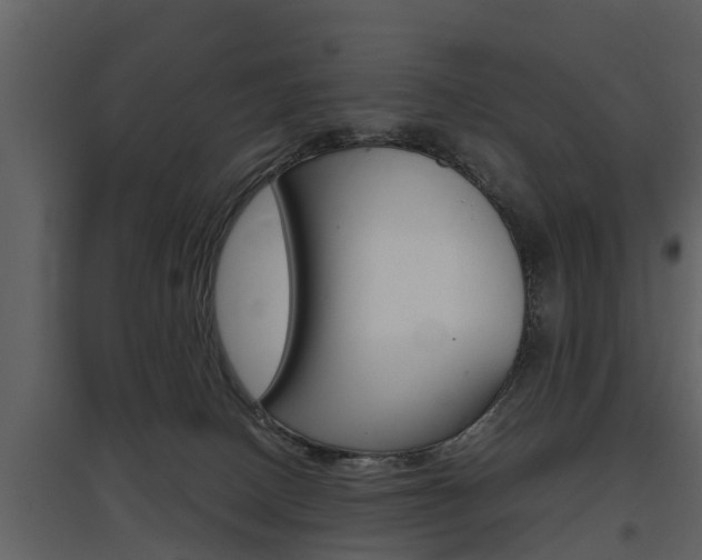 X0000097840082200803140844