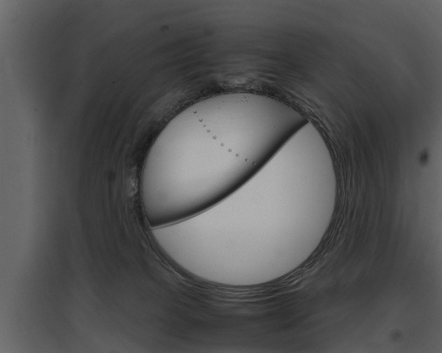 X0000097840085200803140844