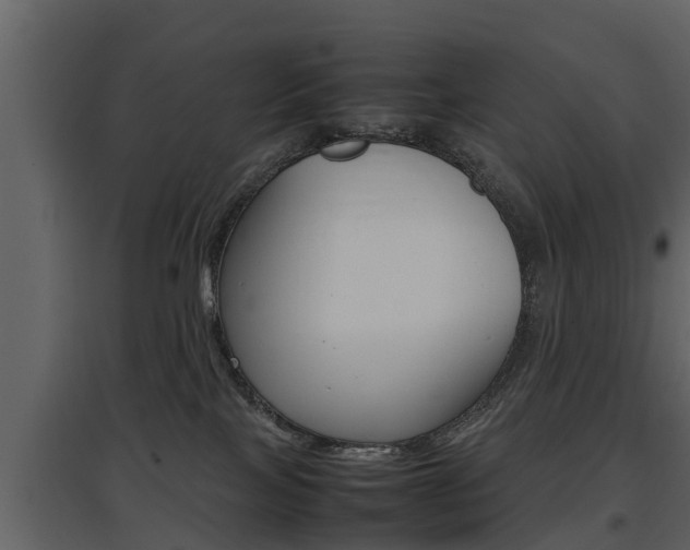 X0000097840089200803140844