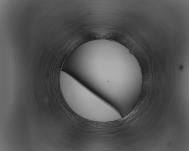X0000097840090200803140844