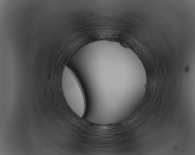 X0000097840091200803140844