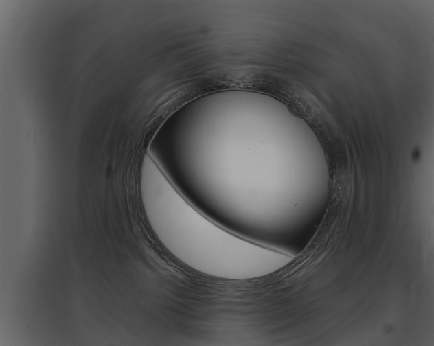 X0000097840092200803140844
