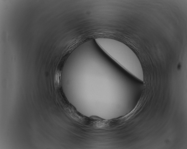X0000097840094200803140844
