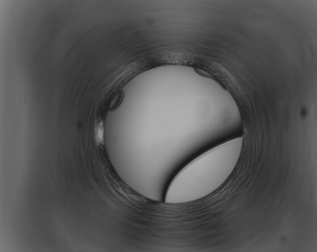 X0000097840095200803140844