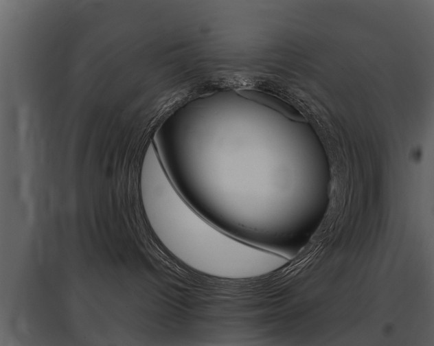 X0000097840096200803140844