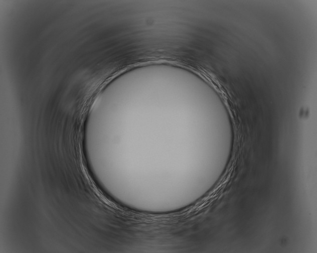 X0000097840097200803140843