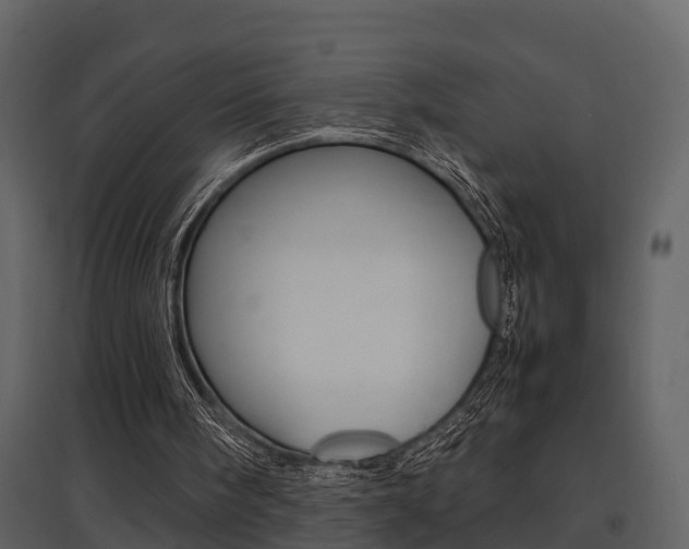 X0000097840098200803140843