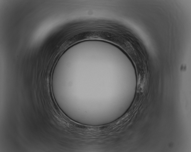 X0000097840099200803140843
