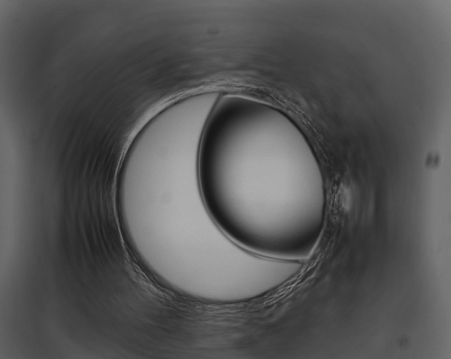 X0000097840100200803140843