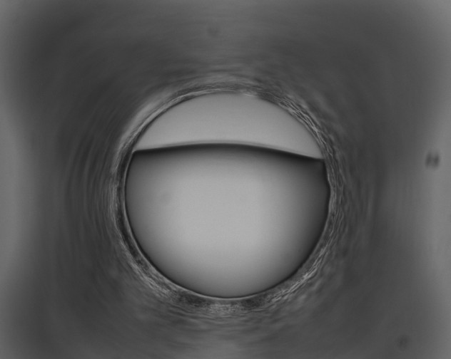 X0000097840101200803140843