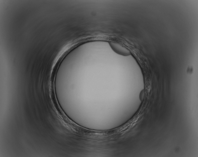 X0000097840102200803140843