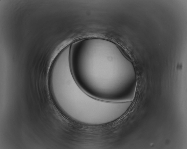 X0000097840104200803140843