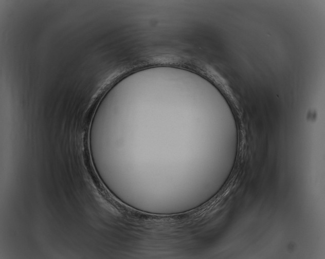 X0000097840106200803140843