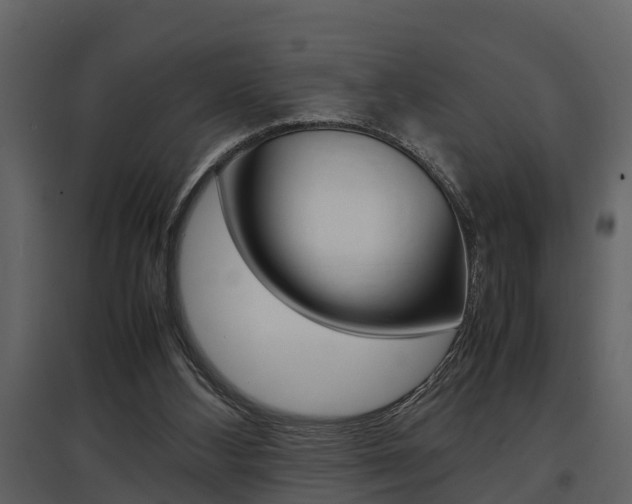 X0000097840108200803140843