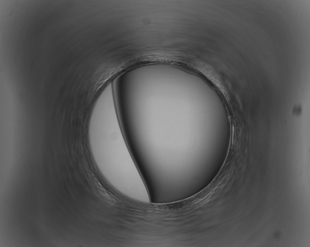X0000097840109200803140843
