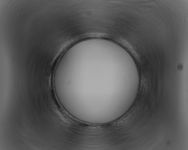 X0000097840110200803140843